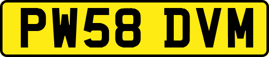 PW58DVM
