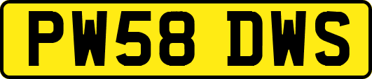 PW58DWS