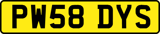 PW58DYS