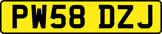 PW58DZJ