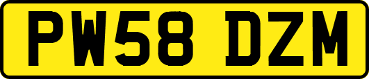 PW58DZM