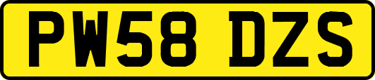 PW58DZS