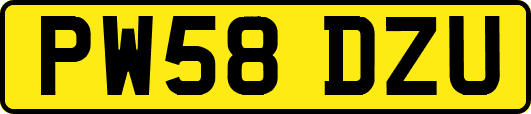 PW58DZU
