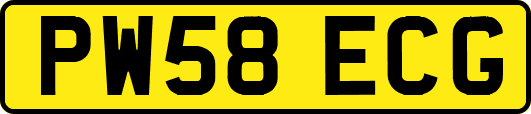 PW58ECG