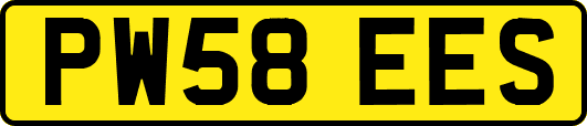 PW58EES