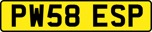 PW58ESP