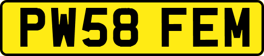 PW58FEM