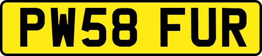 PW58FUR