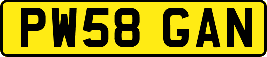 PW58GAN