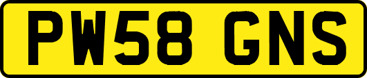 PW58GNS