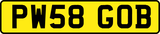 PW58GOB