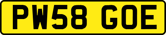 PW58GOE