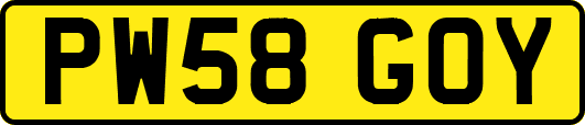 PW58GOY