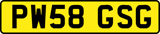 PW58GSG