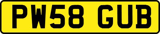 PW58GUB
