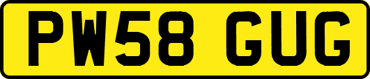 PW58GUG