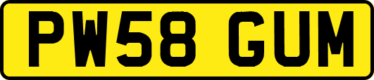 PW58GUM