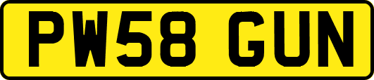 PW58GUN