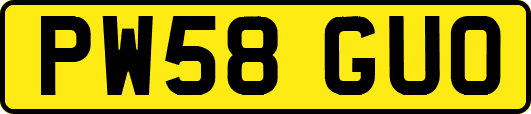 PW58GUO