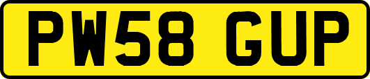 PW58GUP
