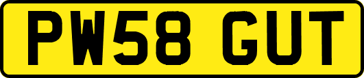 PW58GUT