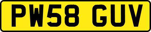 PW58GUV