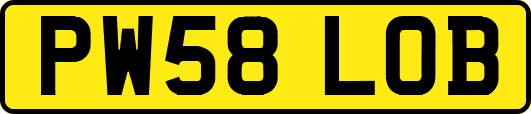 PW58LOB