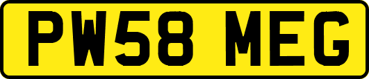PW58MEG