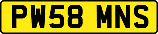 PW58MNS