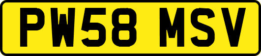 PW58MSV