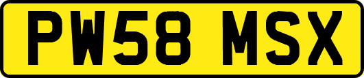 PW58MSX