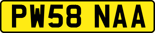 PW58NAA