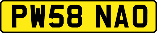 PW58NAO