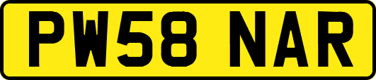 PW58NAR
