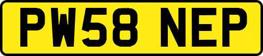 PW58NEP