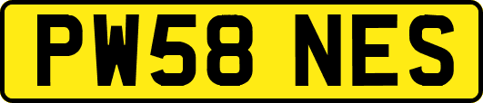 PW58NES