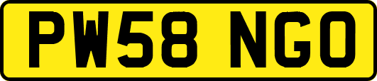 PW58NGO