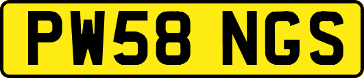 PW58NGS