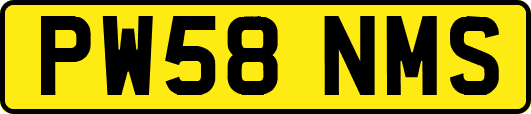 PW58NMS