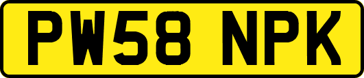 PW58NPK