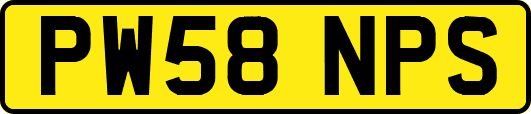 PW58NPS