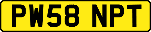 PW58NPT
