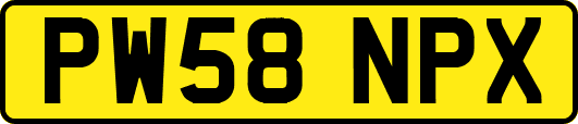 PW58NPX