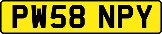 PW58NPY
