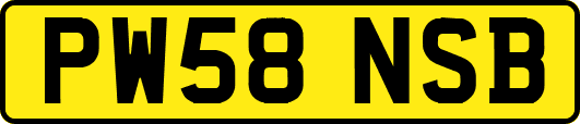 PW58NSB