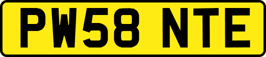 PW58NTE