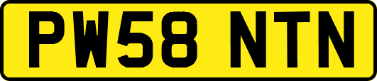 PW58NTN