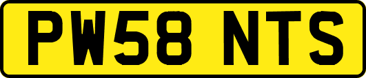 PW58NTS