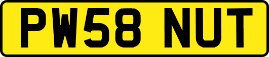 PW58NUT