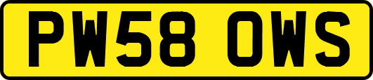 PW58OWS